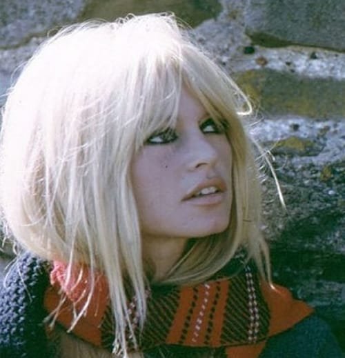 Undone Brigitte Bardot Hair Iconic 1970s Vibes for 2024