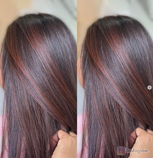 Chestnut Charm Hair Color