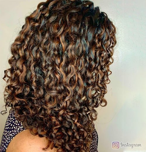 Honeyed Highlights Hair Color